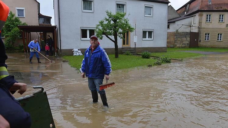 Wiesengiech. Foto:Ronald Rinklef