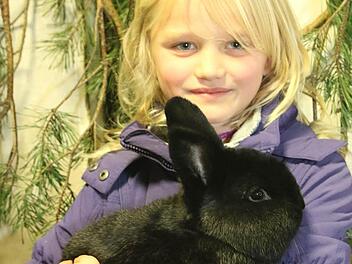 Angeline hält eins ihrer Kaninchen.  Foto: Michael Stelzner