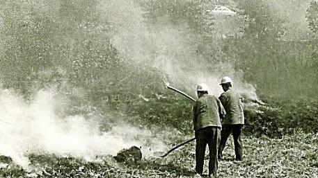 ... oder Patschen bekämpft.