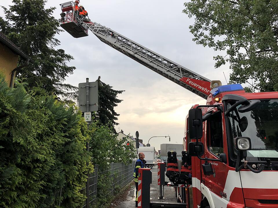 Mehrere zentimeterdicke Hagelkörner gehen in Franken nieder