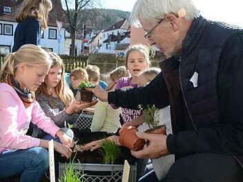 Gärtnermeister Rudolf Wihl hilft den Grundschülern Klara Gollner, Lucy Ammon und Jana Neumann (von links) beim Bepflanzen ihrer Kiste.
