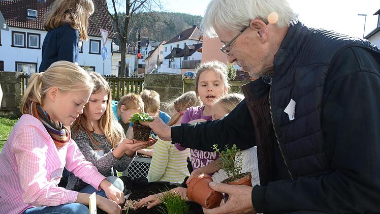 Gärtnermeister Rudolf Wihl hilft den Grundschülern Klara Gollner, Lucy Ammon und Jana Neumann (von links) beim Bepflanzen ihrer Kiste.