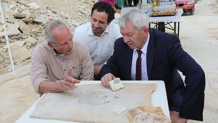 Museumsleiter Matthias Mäuser (links) erläutert Landrat Johann Kalb (rechts) und Steinbruchbesitzer Markus Schorr das präparierte Fossil des Kugelzahnfisches. Fotos: Barbara Herbst