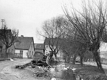 Das war die Weide in Oberhaid vor ihrer Neugestaltung im Jahr 1969.Fotos: privat