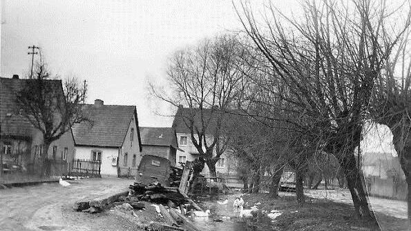 Das war die Weide in Oberhaid vor ihrer Neugestaltung im Jahr 1969.Fotos: privat