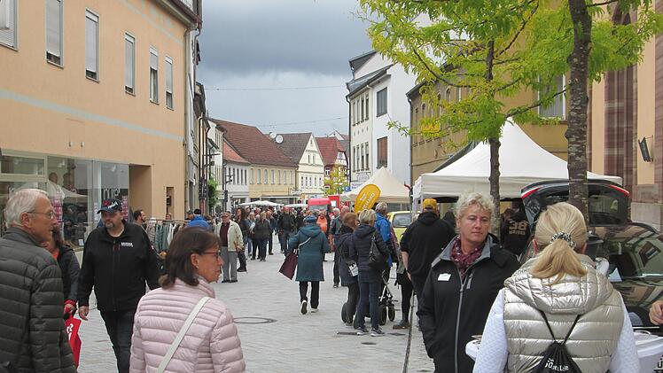 Michaelsmarkt in Hammelburg
