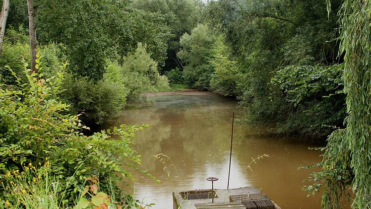 Der See bei Salmsdorf ist total eingewachsen und auch der Mönch ist defekt, so dass bei starken Niederschlägen das Wasser nicht gesteuert werden kann und Probleme für Ortsbewohner entstehen.