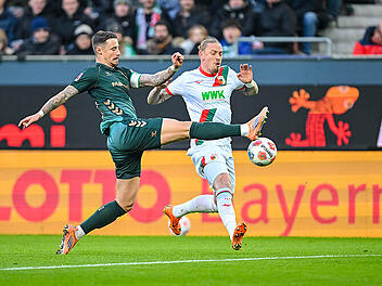 Pl&ouml;tzlich Mittelst&uuml;rmer: Wolf-Experiment gl&uuml;ckt nicht