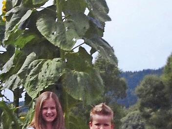 Noch nie dagewesene Sonnenblumenpracht in Eila. Die neunjährige Antonia und der fünfjährige Georg freuen sich über die von ihnen mit gepflegten Sonnenblumen. Foto: Karl-Heinz Hofmann