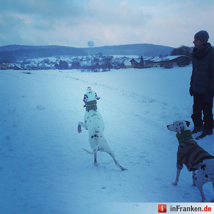 Eis und Schnee in Franken - die schönsten Winterleserfotos