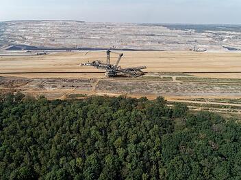 Hambacher Forst