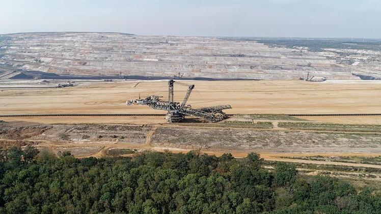Hambacher Forst