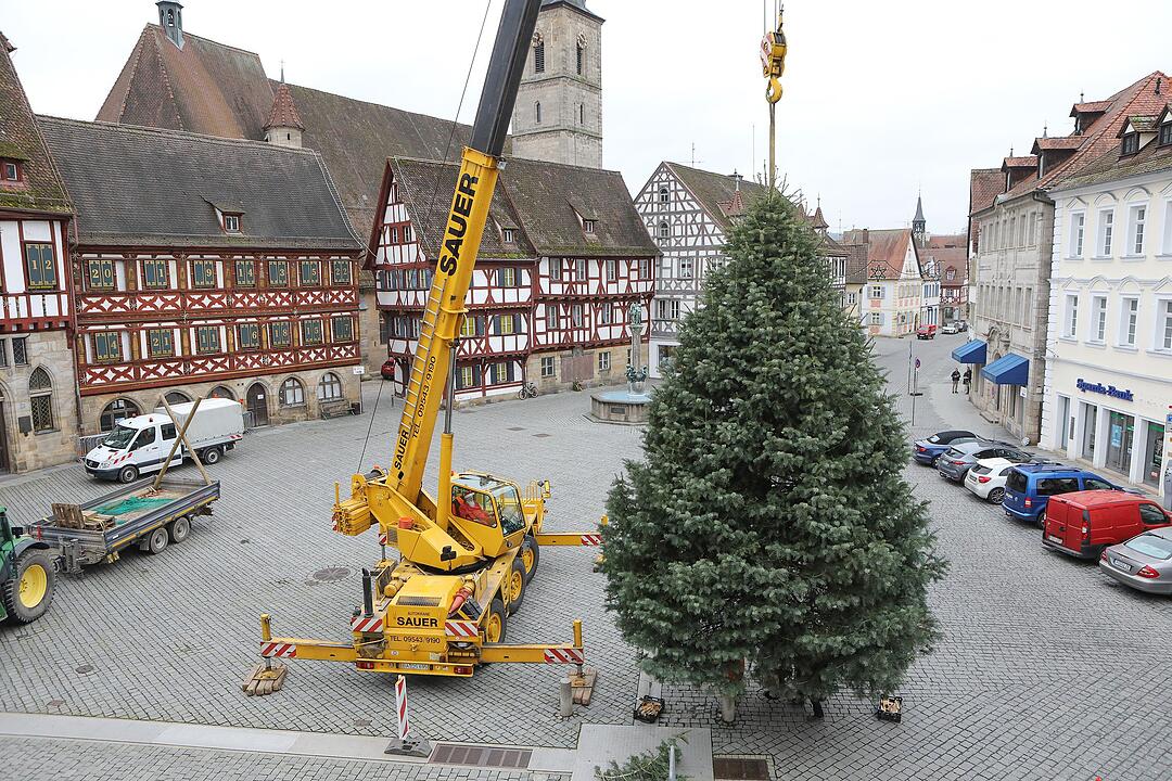 Christbaum kommt aus Schlaifhausen  auf den Forchheimer Rathausplatz