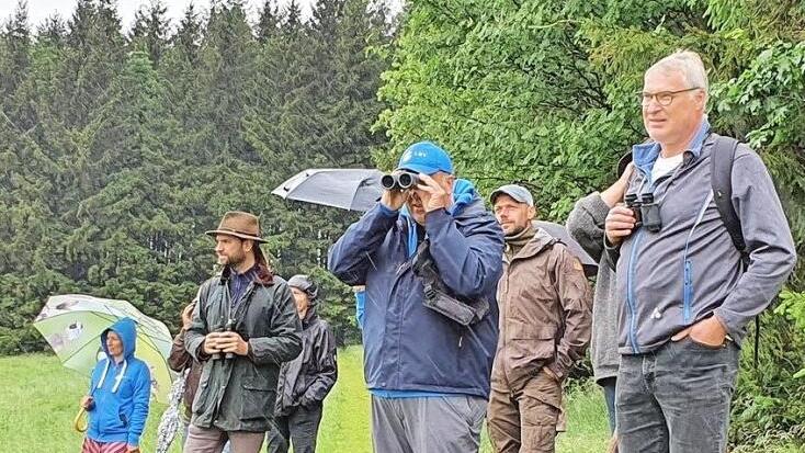 Sie setzen sich für den Schutz für der Braunkehlchen ein (von links): Sevtap Okyay (Ehrenamtsbeauftragte LBV), André Maslo (ökologische Bildungsstätte), Ulrich Münch (Vorsitzender LBV-Kreisgruppe Kronach), Ranger Jan van der Sant und LBV-Schriftführer Andreas Ritter.  Fotos: Maria Löffler