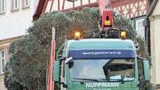 Ein Schwertransporter fährt den mächtigen Baum zum Marktplatz.   Foto: Eckehard Kiesewetter