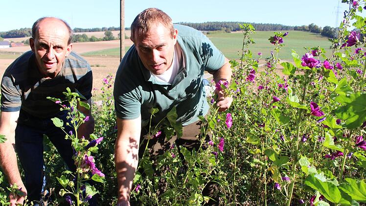 Für Landwirt Elmar Kropf (links) und Jagdpächter Herbert Hopf (rechts) ist der Blühacker ein guter Schritt in Sachen Artenvielfalt.    Foto: Evi Seeger