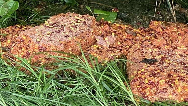 30 Kilo Chili con Carne entsorgt