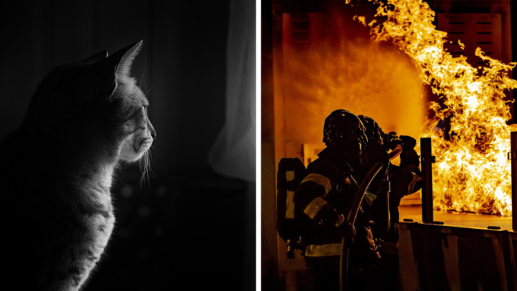 Roding: Mann rettet Katzen bei Wohnungsbrand - 100.000 Sachschaden