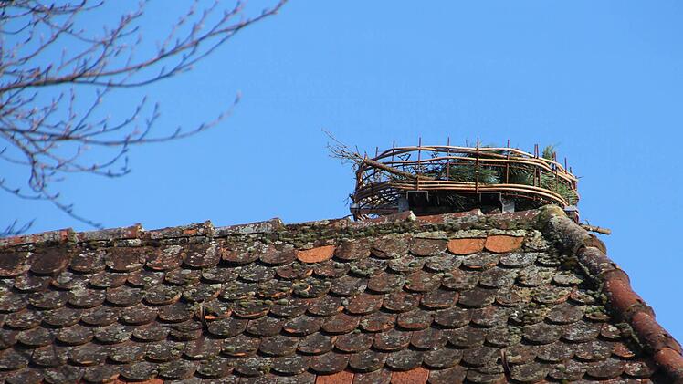 Der Ausweichhorst auf dem Pfarrjugendheim findet bisher keinen Gefallen. Foto: Andreas Dorsch