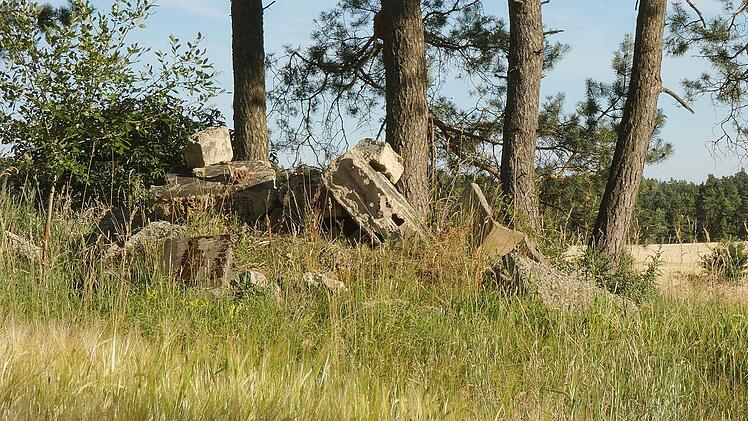 "Ich pers&ouml;nlich kann nicht verstehen, warum Menschen Bauschutt wild entsorgen", sagt Emil Jenne.  Foto: Emil Jenne