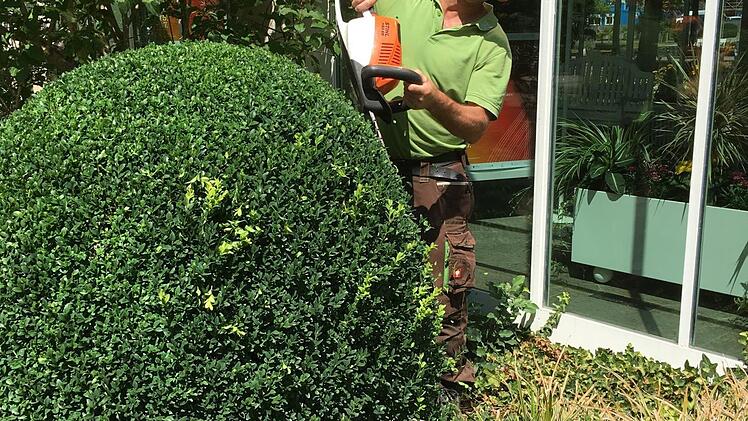 Josef Pfülb beim Heckenschnitt. Foto: Ralf Ruppert