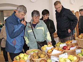 Groß war auch das Interesse an der umfangreichen Apfelausstellung des Pomologen Ewald Truckenbrodt aus Untersiemau.  Fotos: Gerda Völk