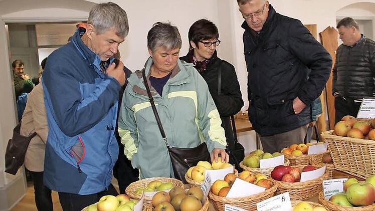 Groß war auch das Interesse an der umfangreichen Apfelausstellung des Pomologen Ewald Truckenbrodt aus Untersiemau.  Fotos: Gerda Völk