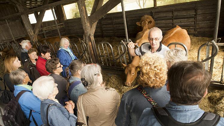 Josef Hader z&uuml;chtet Wagyu-Rinder in Nurn.