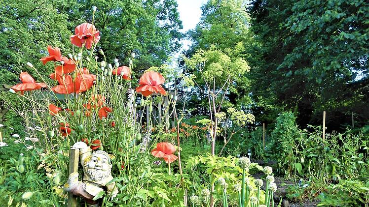 Stimmungsvoll von Walter Näher festgehalten: Kobold, Klatschmohn und Erzengelwurz Fotos: Walter Näher