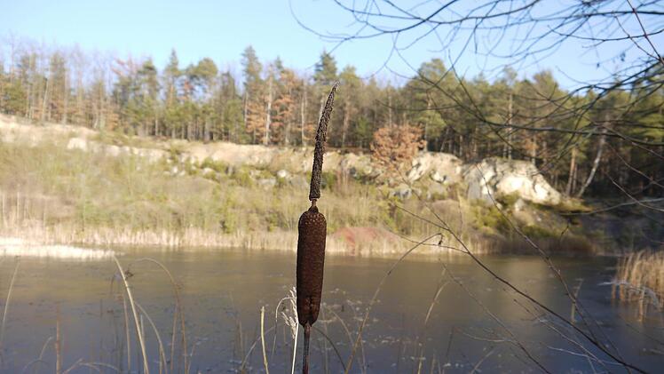 Foto: Berthold Köhler