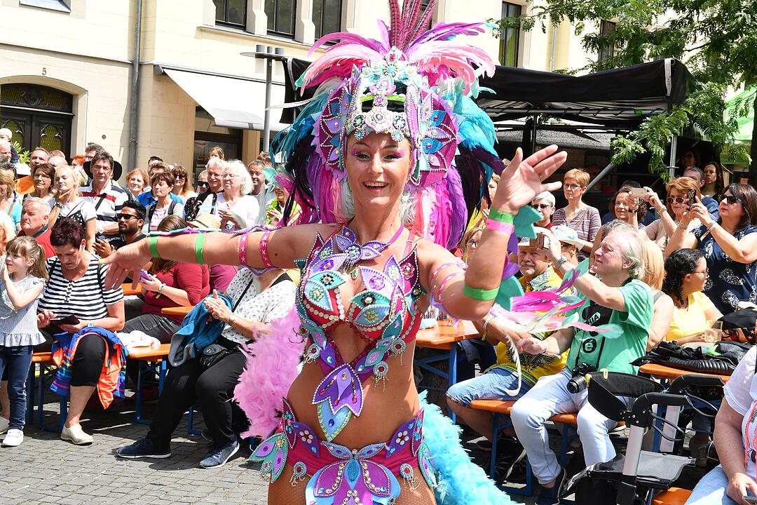 Umzug beim Samba-Festival in Coburg
