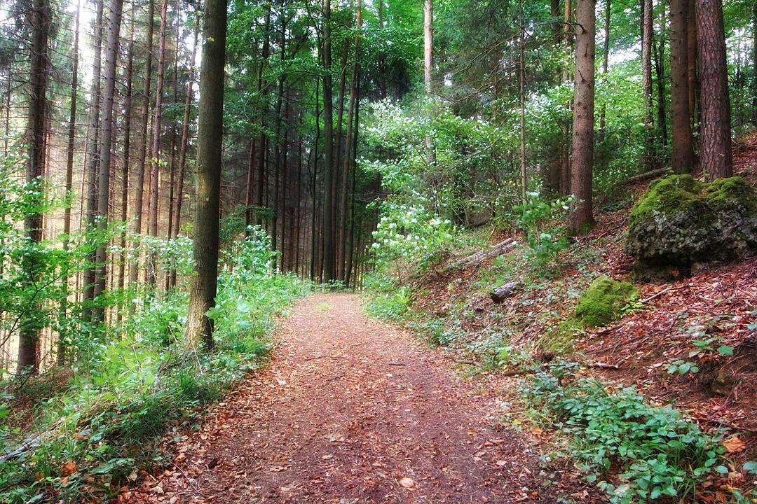 Die schönsten Fotos im Herbst aus Forchheim und Umgebung