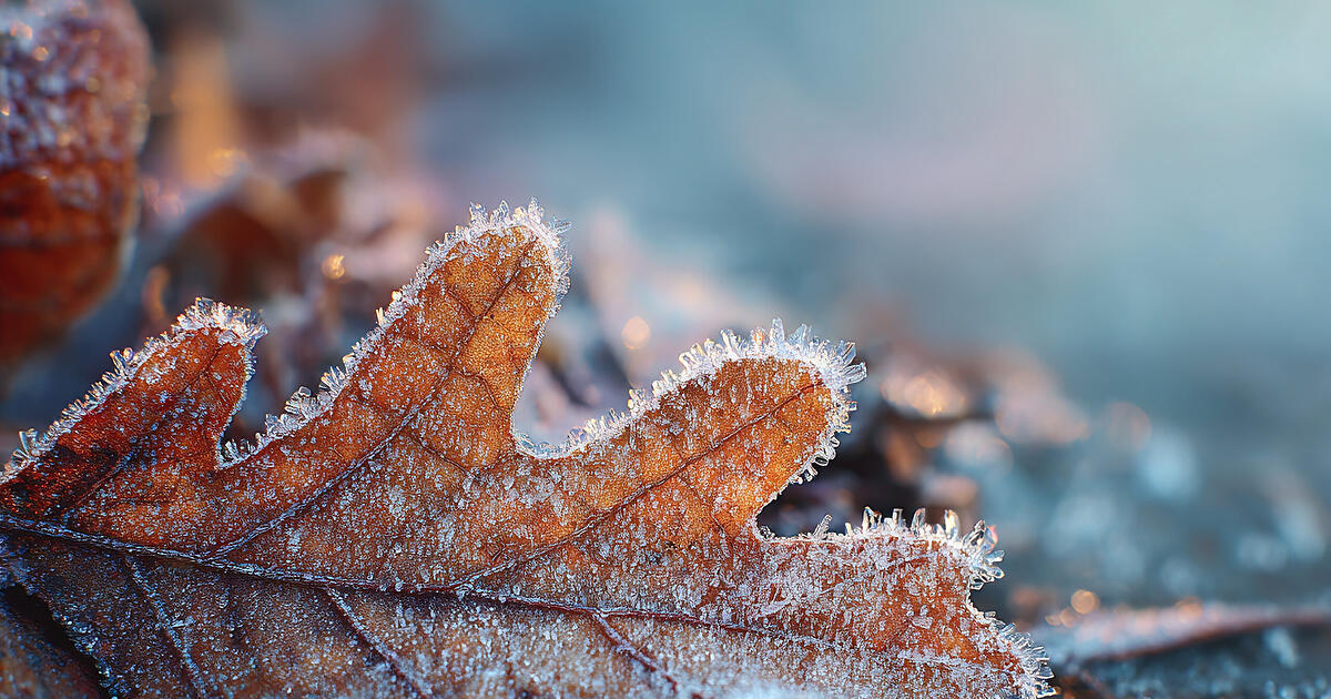 Wetter-in-Franken-Nebel-und-Niederschlag-trister-Dezember