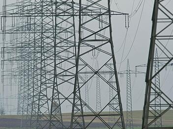 Der Netzausbau im Zuge der Energiewende erhitzt die Gemüter in der Rhön.  Foto: Patrick Seeger/dpa