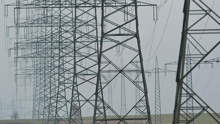 Der Netzausbau im Zuge der Energiewende erhitzt die Gemüter in der Rhön.  Foto: Patrick Seeger/dpa