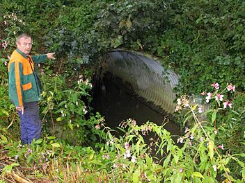 ernhard Reuter, ein direkt vom Hochwasser Betroffener aus Neuses, zeigt auf den derzeitigen Durchlass (hier an der nordöstlichen Seite), der unter der Kreisstraße HAS 50 hindurchführt und bei einer entsprechenden Hochwasserlage die Wassermengen nicht aufnehmen kann, weshalb es zum Rückstau kommt. "Wir leben an einer Badewanne", hatte Reuter im September 2013 gesagt.  Archivfoto: Helmut Will