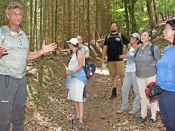 16 Frauen und Männer nehmen am Waldbaden teil. Waldpädagoge Stefan Hanke erzählt ihnen Wissenswertes über den Wald.