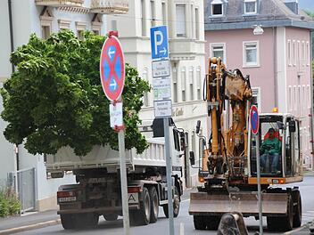 Ein Laster transportiert den ersten von sieben Bäumen von der Schönbornstraße zur Kläranlage. Dort werden sie gelagert.  Fotos: Benedikt Borst