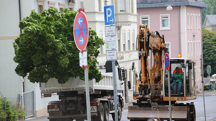 Ein Laster transportiert den ersten von sieben Bäumen von der Schönbornstraße zur Kläranlage. Dort werden sie gelagert.  Fotos: Benedikt Borst