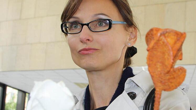 Eindrücke von der Fahrt des Kreistages 2015. Foto: Ralf Ruppert