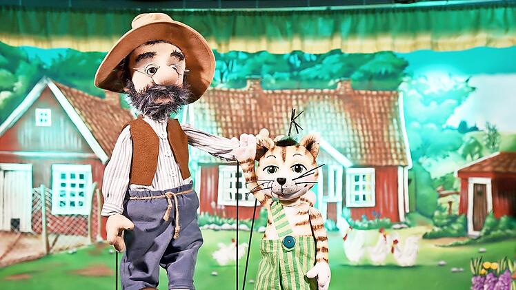 Im Theaterst&uuml;ck wird erz&auml;hlt, wie Pettersson zu seinem Kater Findus kam. Es war einmal ein Pappkarton, in dem waren gr&uuml;ne Erbsen drin.