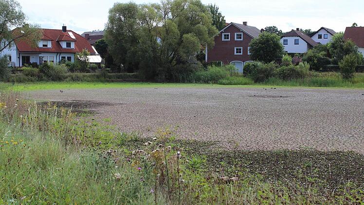 Der ausgetrocknete Luderweiher in Höchstadt-Süd. Foto: Andreas Dorsch