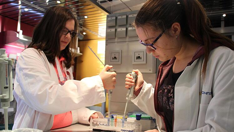 Biologie muss nicht langweilig sein: Isabelle Mundo (links) und Zoe Schwalb (rechts) arbeiten mit Pipetten im Biotechnikum-Truck. Foto: Franziska Rieger