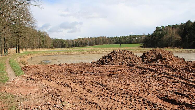 Mit unbelastetem und gut zu verdichtenden Erdmaterial wird bei Adelsdorf aus Karpfenteichen Ackerland.    Foto: Andreas Dorsch