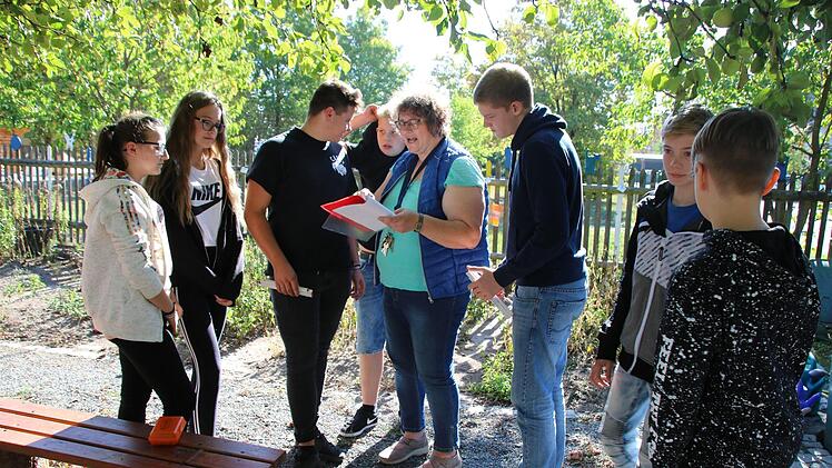 Sojabohnenernte im Mainleuser SchulgartenStefanie Gleixner