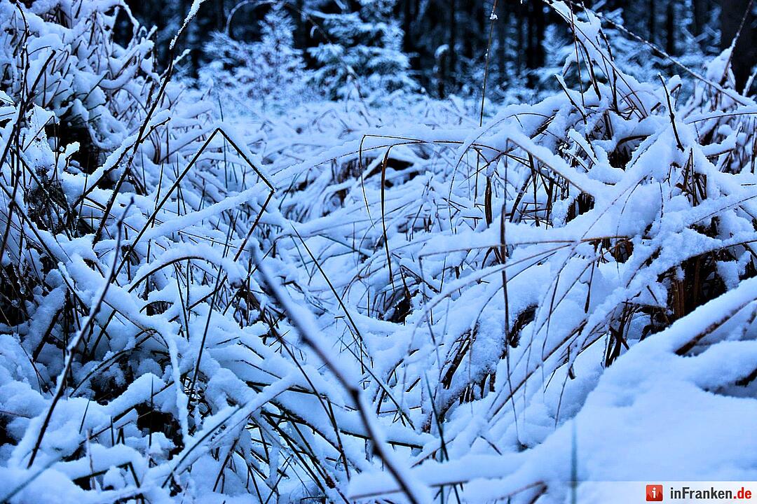 Schnee im Fichtelgebirge