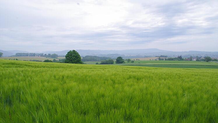 Über diese Hügel soll sich die Lerchenhoftrasse ihren Weg in Richtung Schmölz suchen. Rechts sind noch einige Häuser von Tüschnitz zu erkennen. Foto: Archiv/Marco Meißner