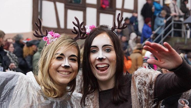 Faschingszug in Diebach. Foto: Arkadius Guzy