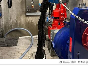 Dieser Klo-Fehler wird zum echten Problem - Foto zeigt Folgen