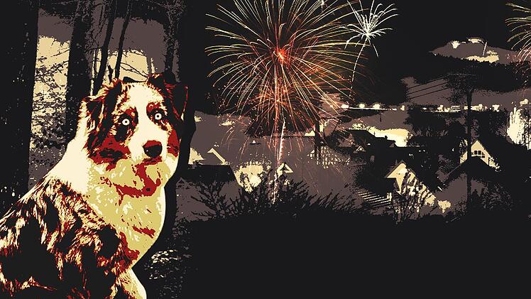 Merle ist am Silvesterabend in den Wald bei Neuensorg gelaufen und seitdem verschwunden. Seitdem klammert sich ihre Familie an jeden noch so d&uuml;nnen Strohhalm.